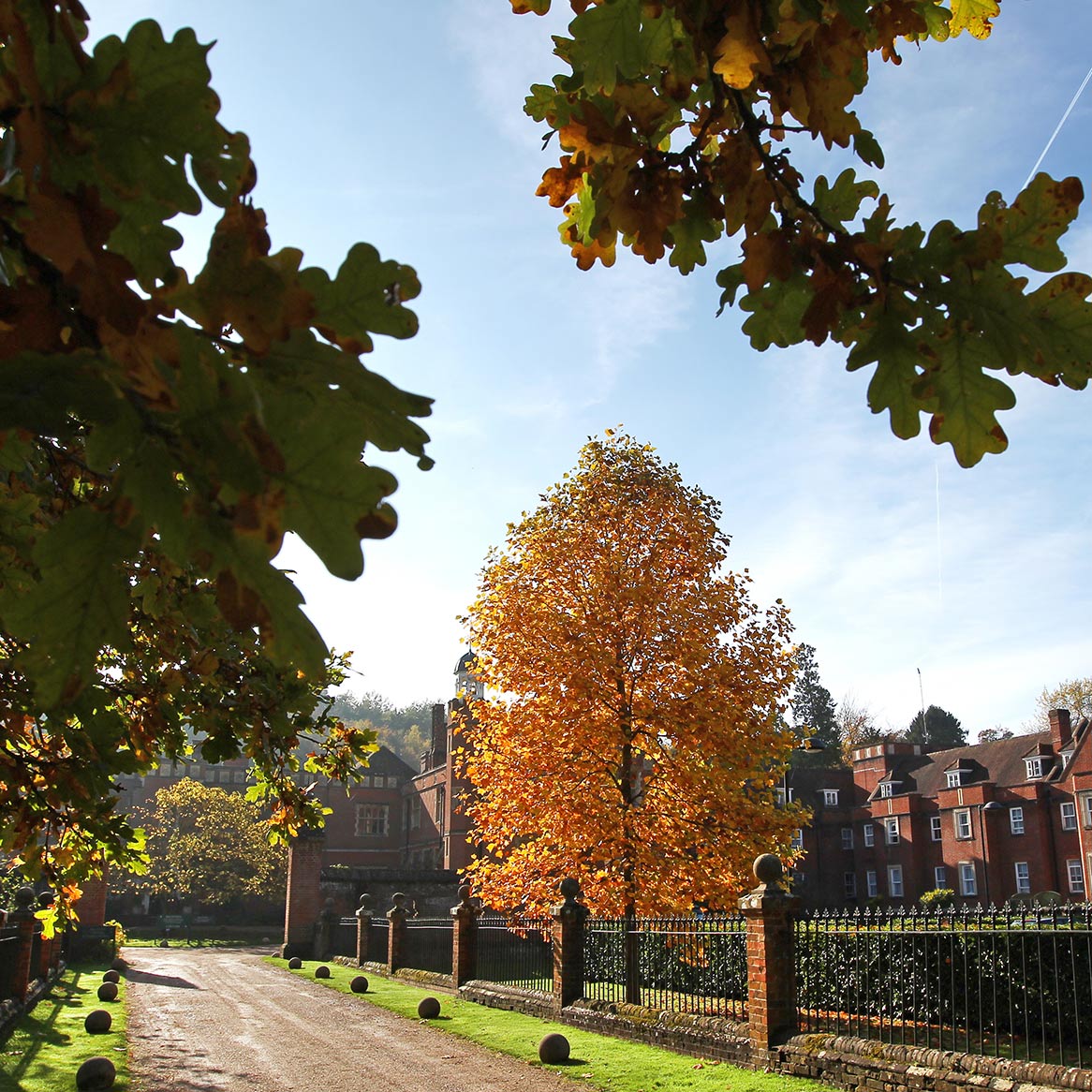 Autumn driveway leading up to Wotton House